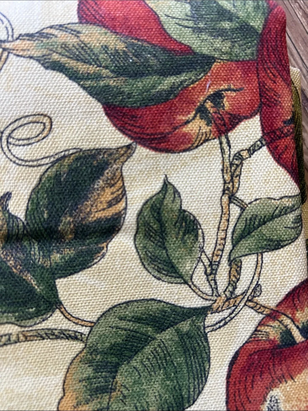 Food Network Bella Frutta Tablecloth — Cream with Red, Green, Purple Accents